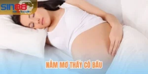 Nằm Mơ Thấy Có Bầu